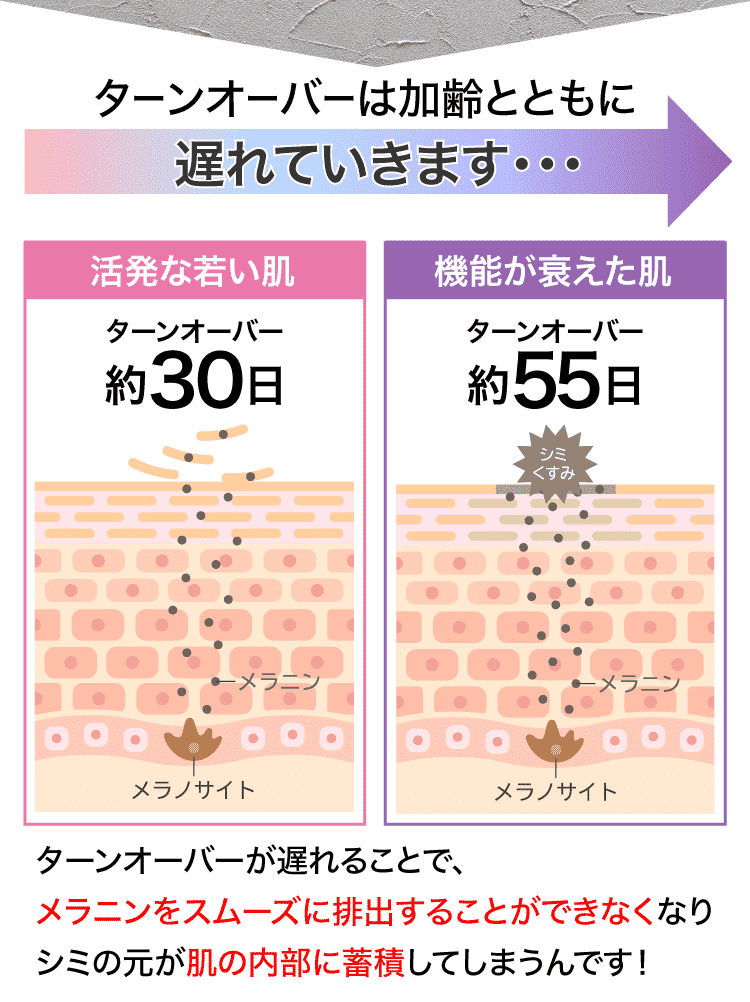 ターンオーバーは加齢とともに遅れていきます
