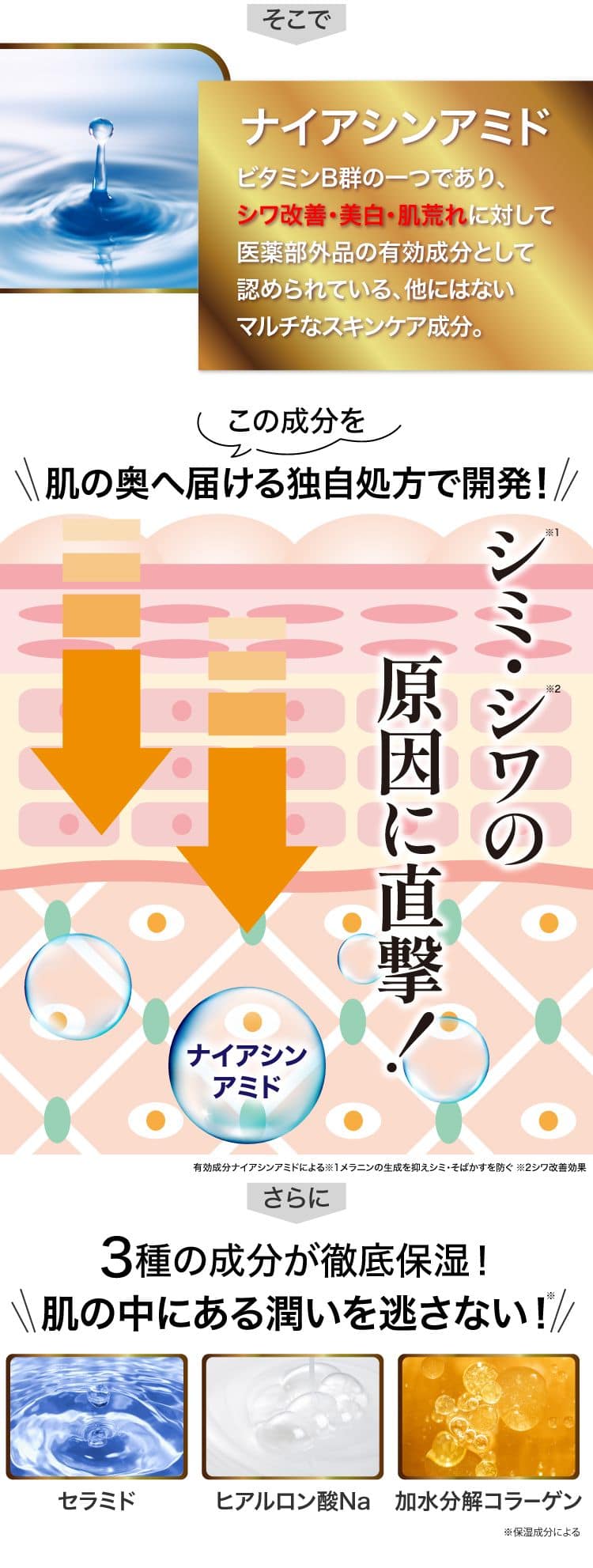 シミ・シワの原因に直撃